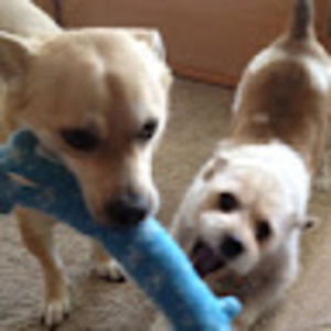 Meet your Posher, Ardell